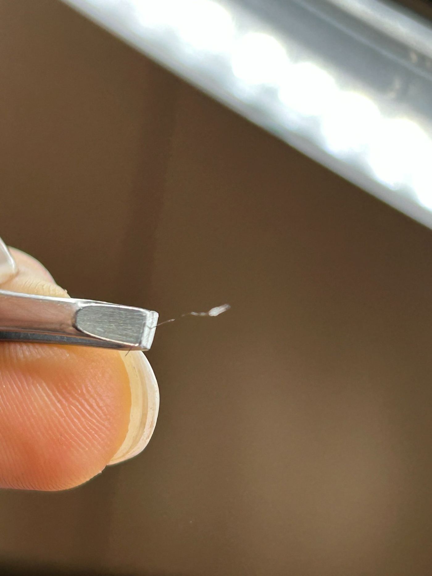 Poil extrait thermolyse électrolyse Laser Ligne